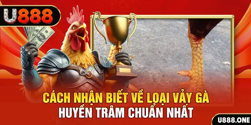 vao bong Chú hề Patty tuổi teen