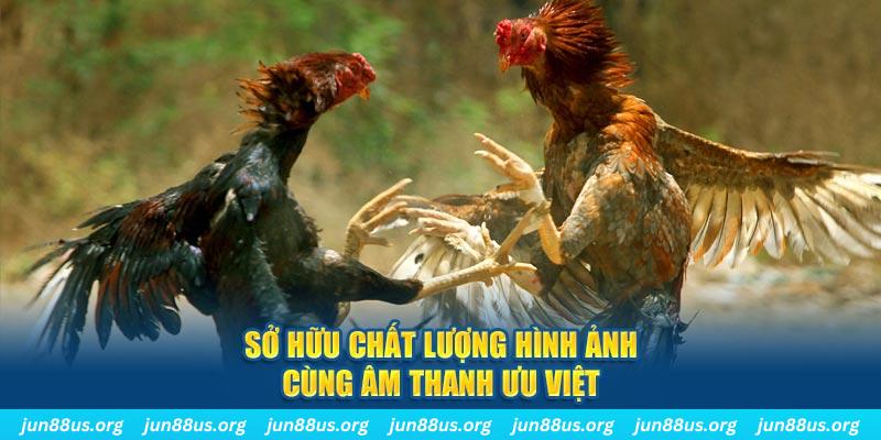 vao bong bắn cá 30