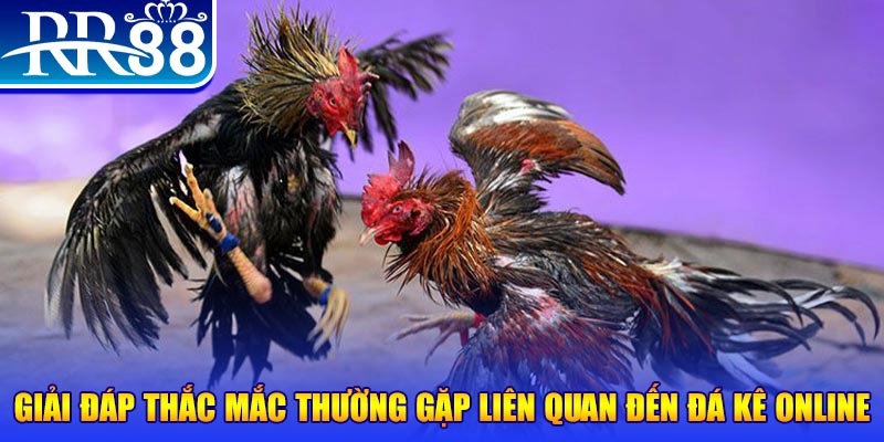 vao bong đăng nhập phỏm tặng tiền