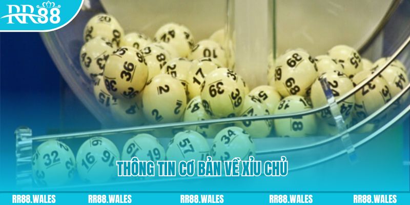 vao bong baccarat long bảo là gì