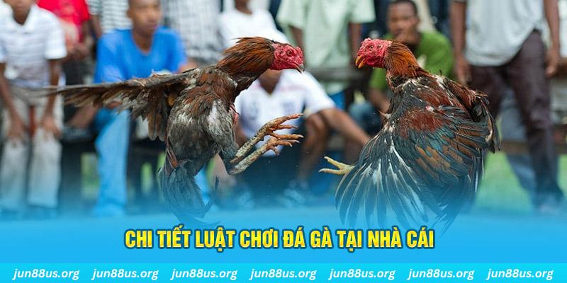 vao bong đá gà campuchia