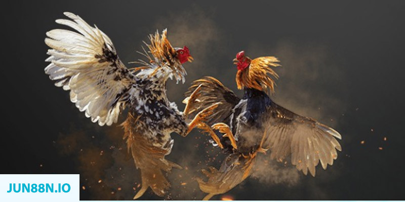 vao bong đăng nhập sòng bạc miễn phí