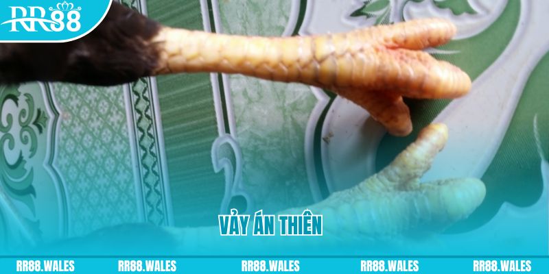 vao bong who wants to be a millionaire slot