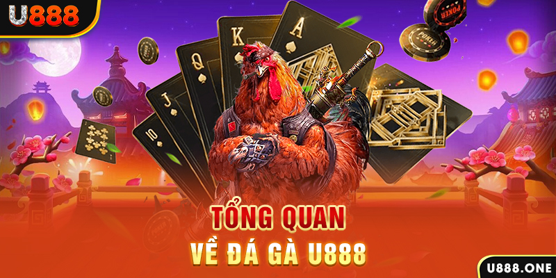 vao bong baccarat có lừa đảo không