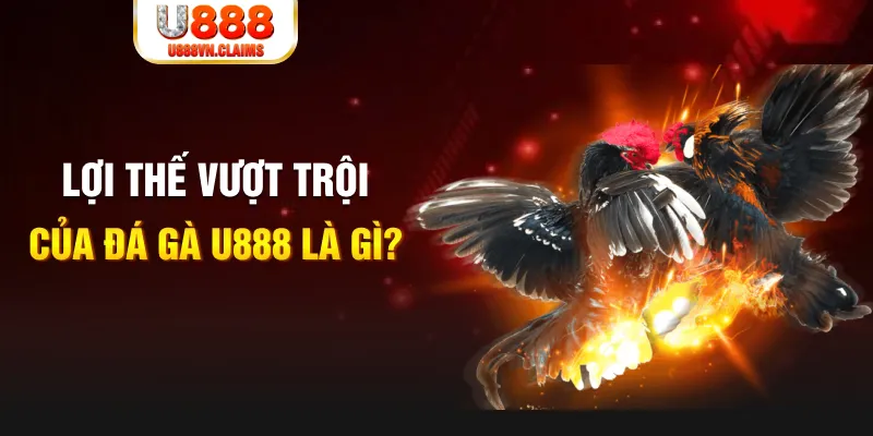 vao bong 888 slot là gì